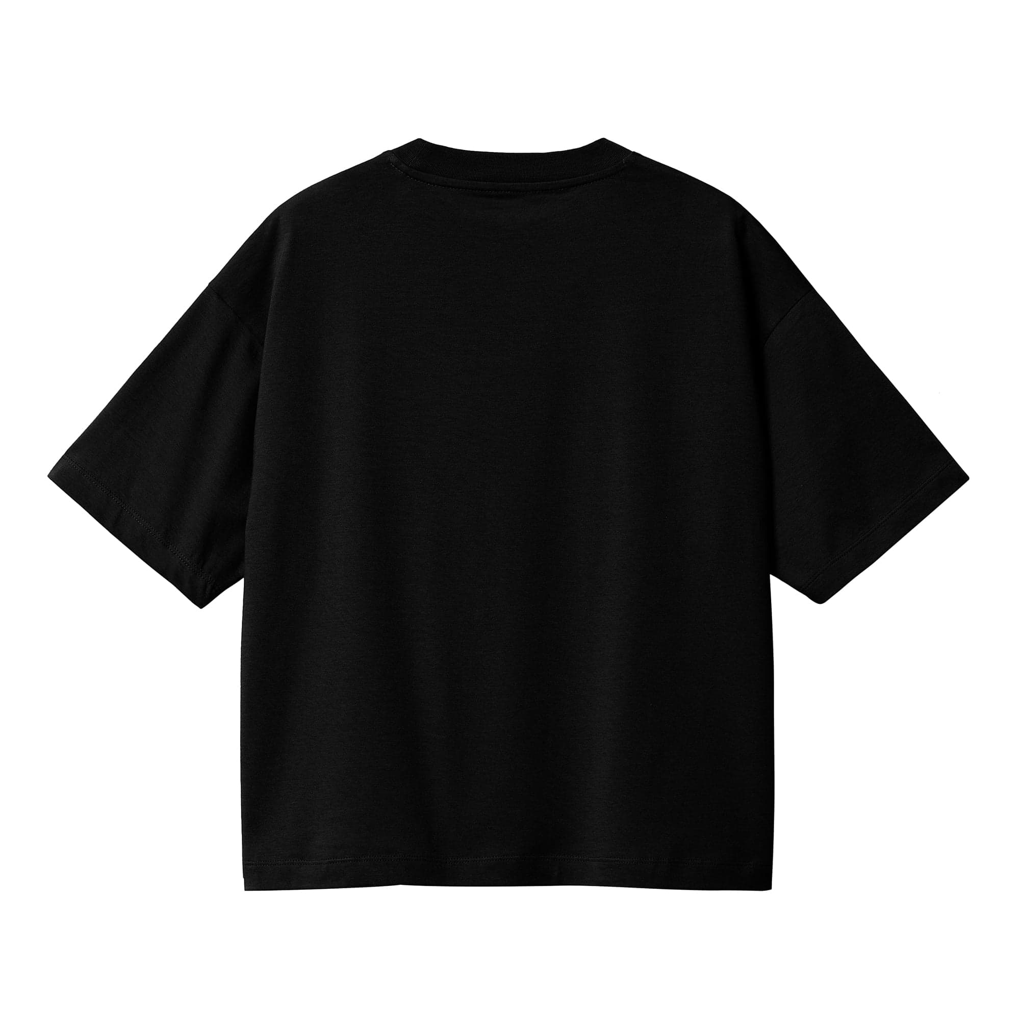 https://admin.plaze-shop.de/wp-content/uploads/2023/02/I0306567_CarharttWIP_WChester-Tshirt_black_plaze-skateshop_2.jpg