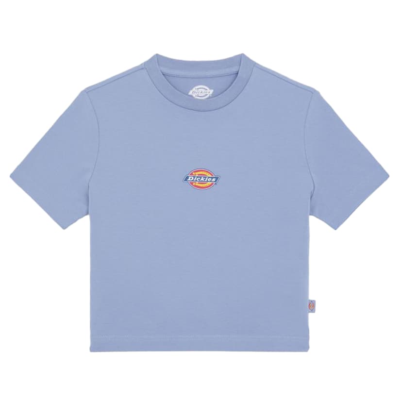 Dickies Maple Valley Tee - blue