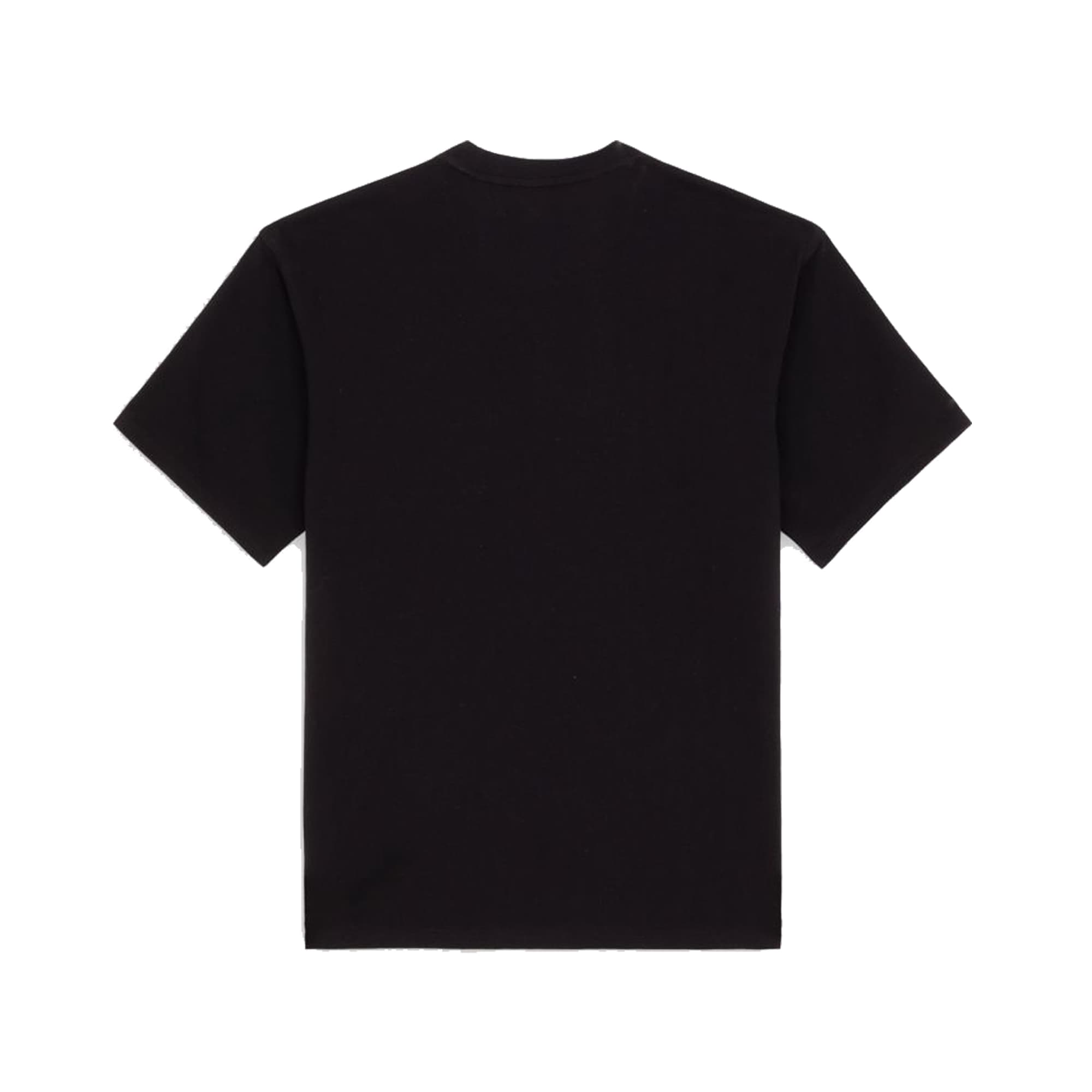 https://admin.plaze-shop.de/wp-content/uploads/2025/03/Dickies_Clancy_Heavyweight_Tee_BLack_DK0A4Z4LBLK1_plaze-shop_1-2.jpg