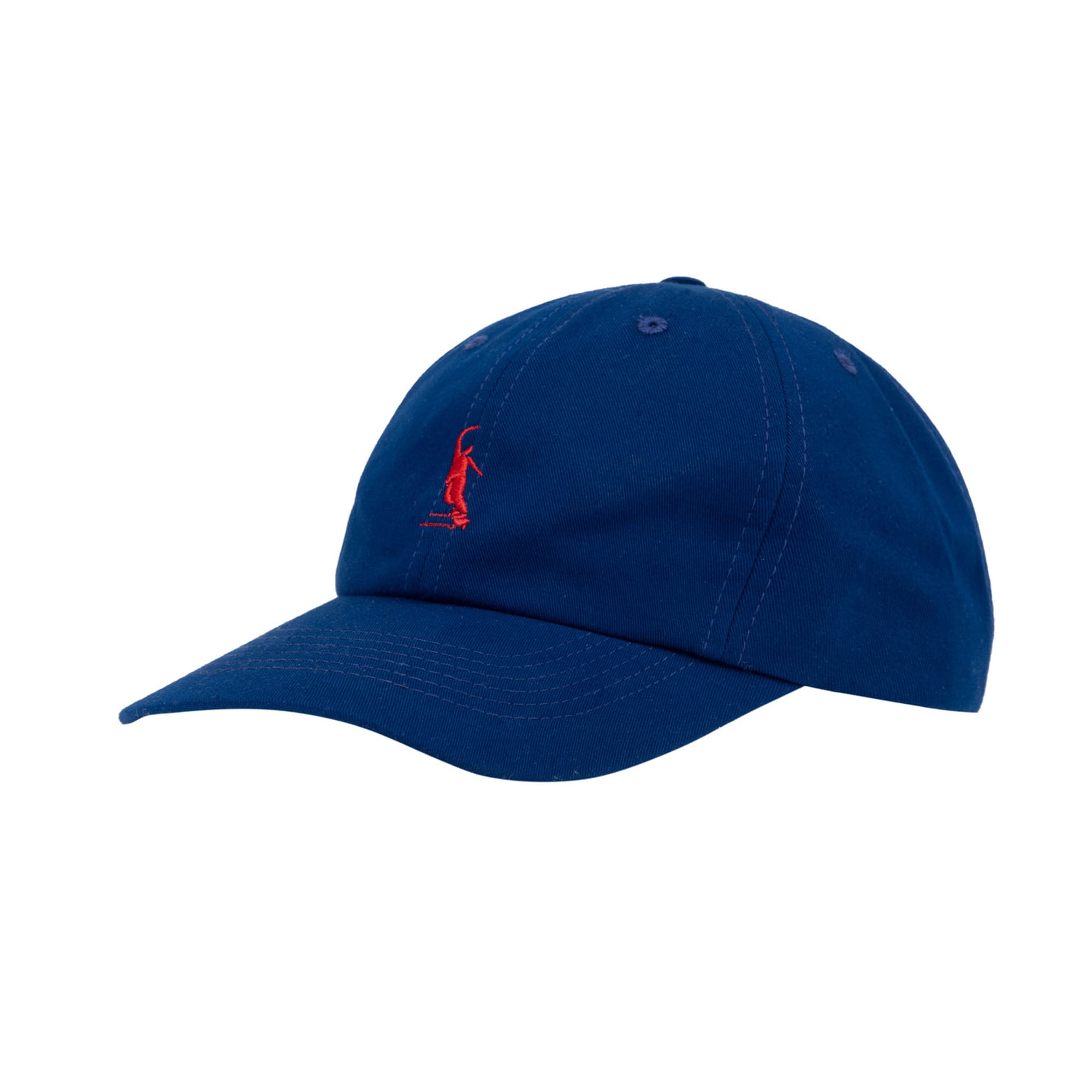 https://admin.plaze-shop.de/wp-content/uploads/2025/03/Magenta_PWS_Dad_Hat_Royal_Blue_plaze-shop_1-1.jpg