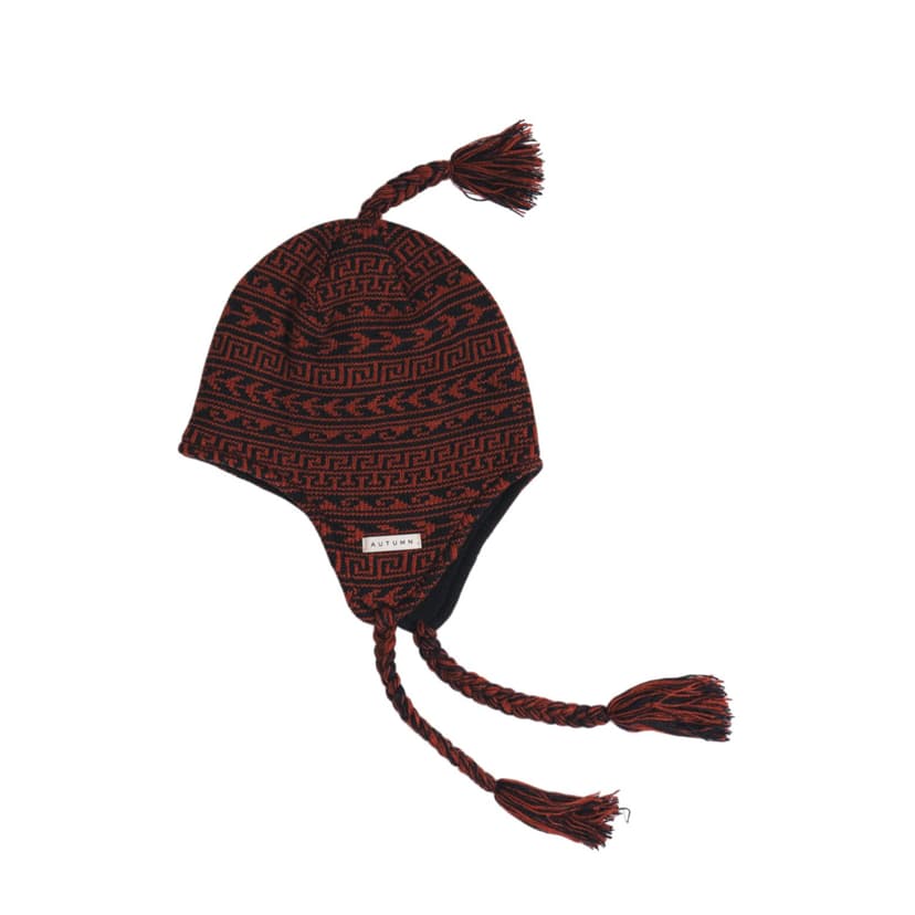 Autumn Swell Ear Flap Beanie - harrison