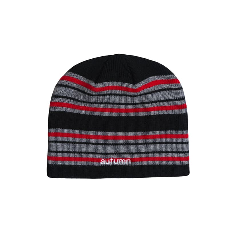 Autumn Warp Beanie - black